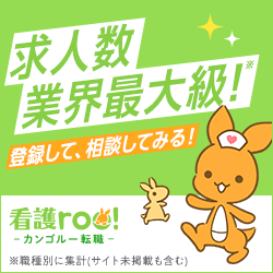 看護roo!キャプチャー画像