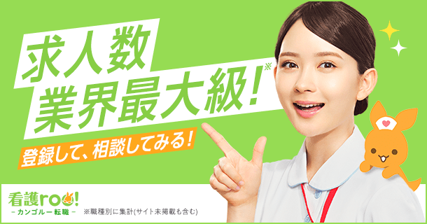 看護roo!キャプチャー画像_pc