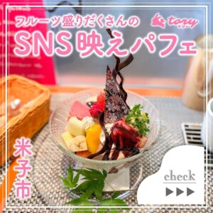 【米子市】「ヒロミ・スイーツカフェ」フルーツ盛りだくさんの贅沢パフェ！ぬいぐるみやお花に囲まれた可愛い店内