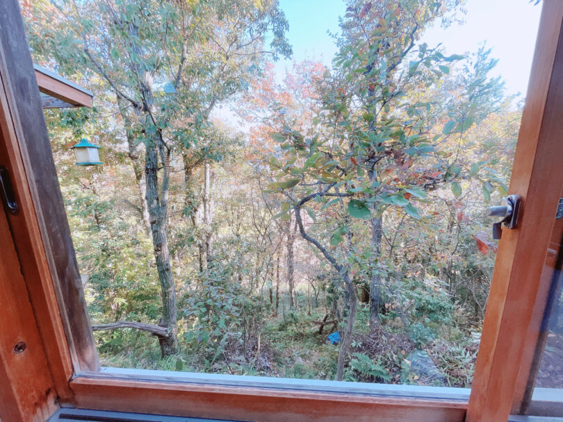 斜面にたっていて窓からナラの木が眺められます。