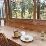 Cafe 橅（ブナ）」緑を眺めながらこだわりのコーヒーでまったりできる癒しカフェ