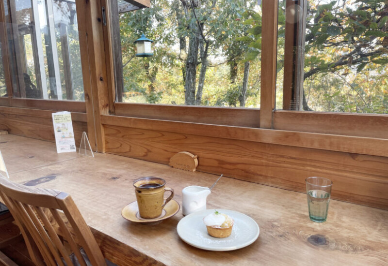 Cafe 橅（ブナ）」緑を眺めながらこだわりのコーヒーでまったりできる癒しカフェ