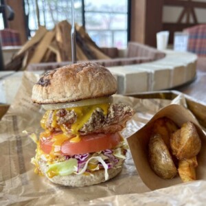 【伯耆町】MR.BURGER│大自然の中で味わうバーガー！満足感しか残らない絶品バーガーがワンだふる…🍔