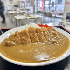 【倉吉市】市場食堂 | 卸売市場の隠れた名店を発見！絶品カツカレーがワンだふる…🍛