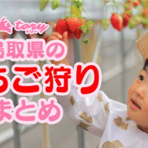 【2025年版】鳥取県内でいちご狩りはどこに行く?!時期やブランドまとめ