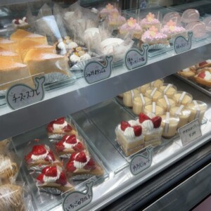 【鳥取市】パティスリーくじらじま｜地元に根付いたかわいいケーキ屋さん♪