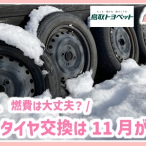 【冬タイヤ交換は11月がベスト！】すり減りや燃費のギモンを自動車販売店に聞きました｜鳥取トヨペット