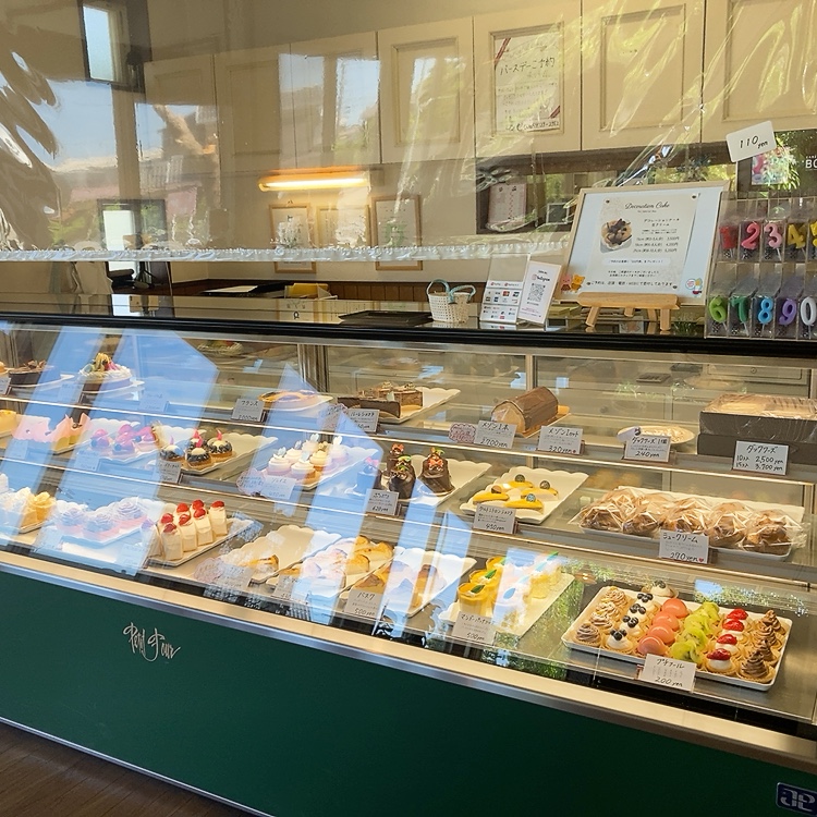 ショーケース
