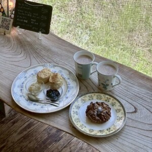 【鳥取市】紅茶専門店ダウラ|全国から紅茶好きが集まる!種類豊富な紅茶を取り扱っている紅茶専門店♪