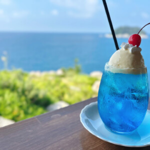 【香美町】古民家cafe岡見｜日本海180度の絶景！限定チーズケーキと映えるクリームソーダ