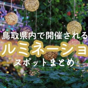 【2025年冬版】友人や家族と出かけたい!鳥取県で開催されるイルミネーションスポットまとめ