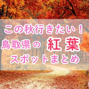 【2025年・秋に行きたい】鳥取県の紅葉スポットまとめ