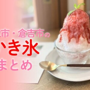 【鳥取県東部・中部】人気のかき氷店9選!鳥取市・倉吉市で味わう夏の絶品スイーツ