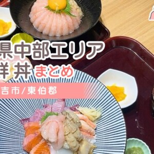 【倉吉市・東伯郡の海鮮丼おすすめ店まとめ】鳥取県中部エリアで味わう海の幸