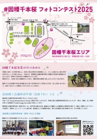 Webもり制作実績「因幡千本桜フォトコンテスト2025」チラシデザイン